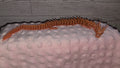 Spiny articulated dragon