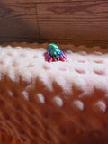 Mini Spider