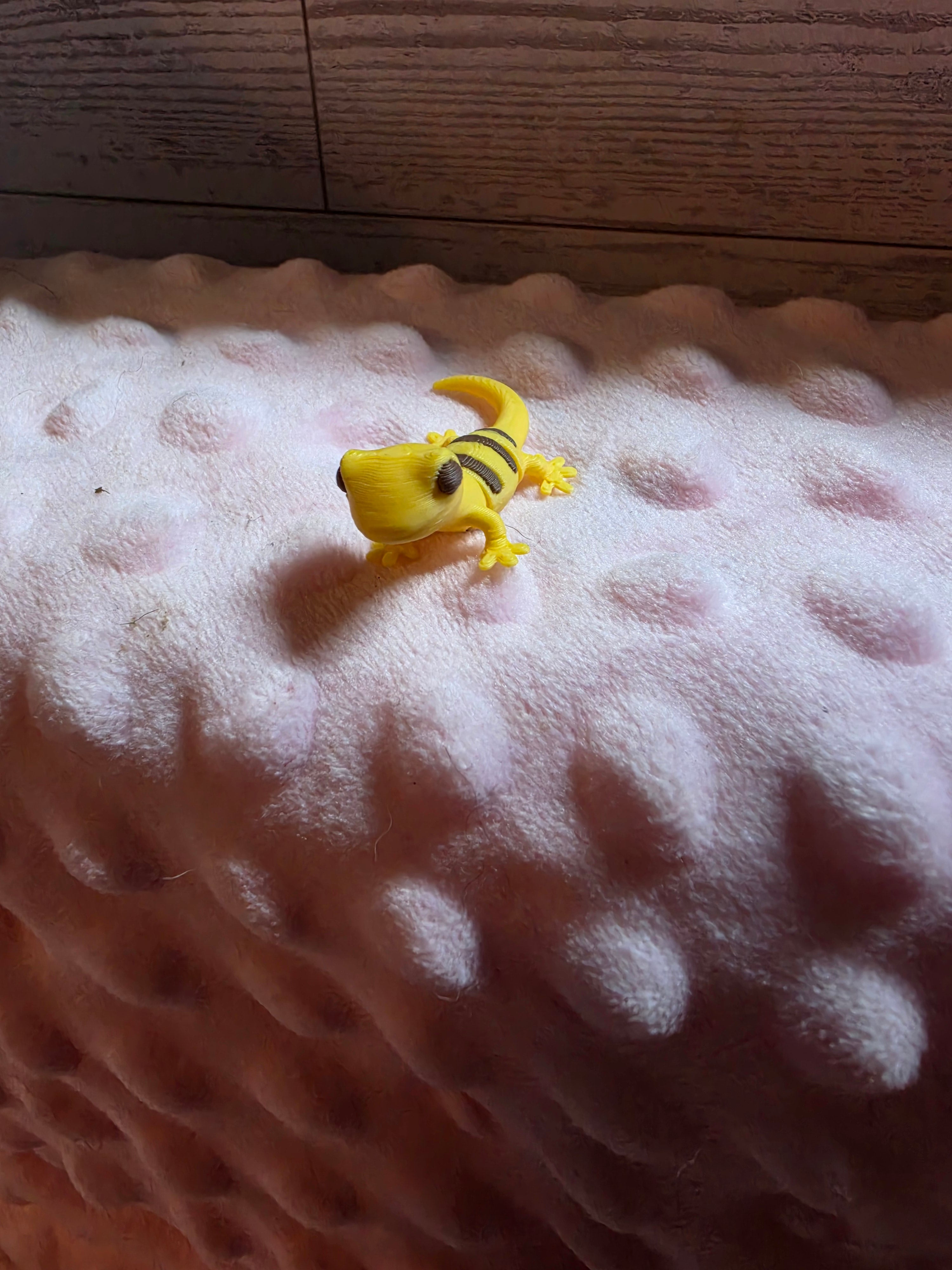Mini Gecko