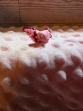 Mini Axolotl