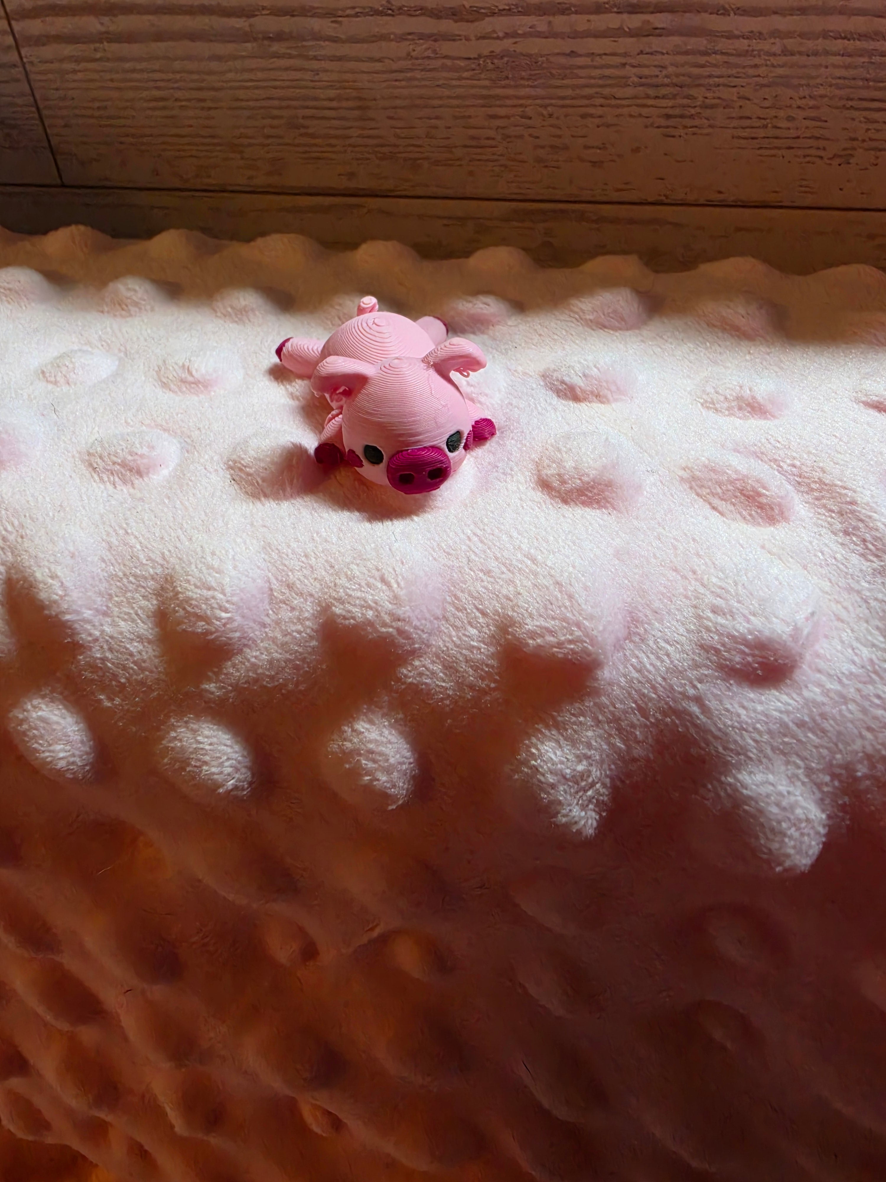 Mini Pig